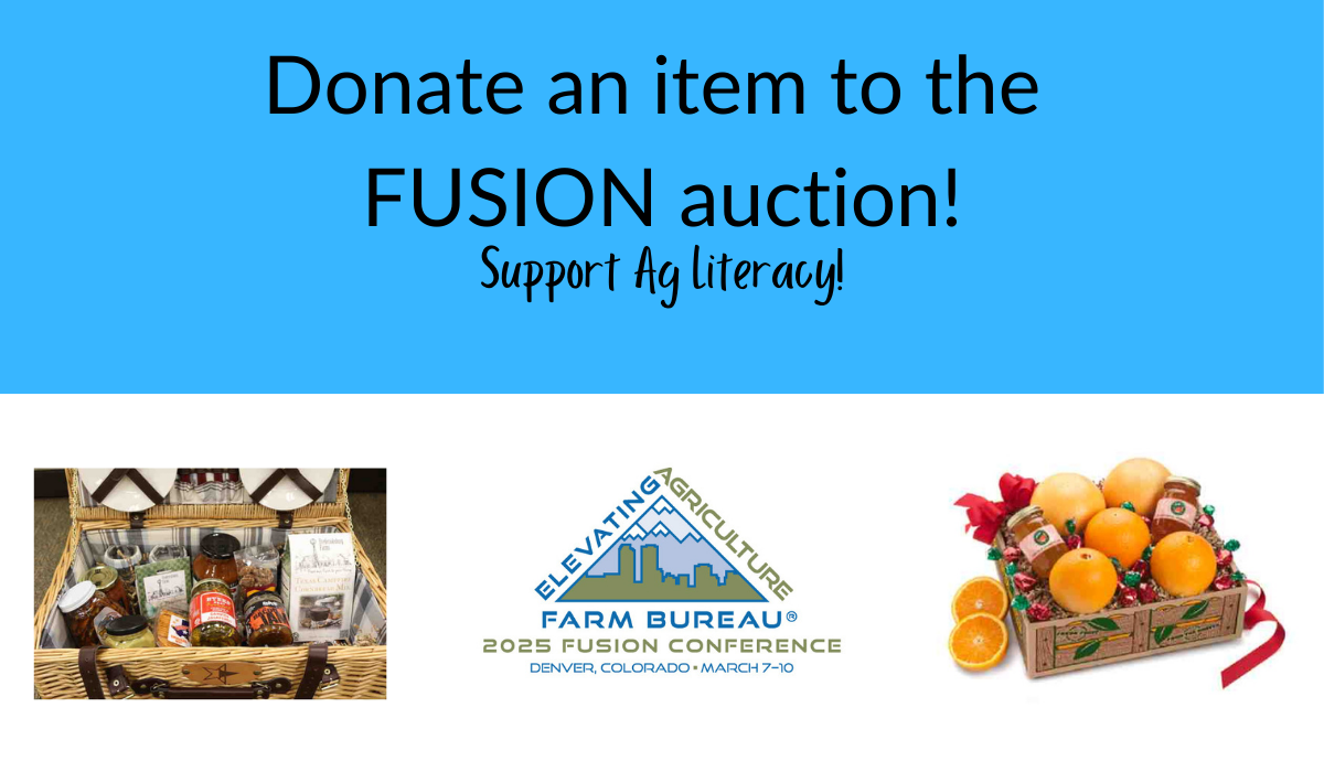 Donate to the auction 1200 x 690 px